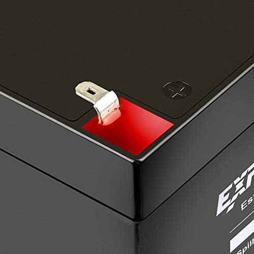 (2 Pack) ExpertPower 12V 5Ah Home Alarm Battery With F1 Terminals EXP1250 on Galleon Philippines