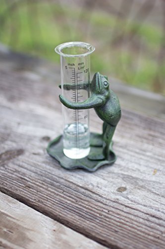 Kalalou Cast Iron Frog Rain Gauge, One Size, Green