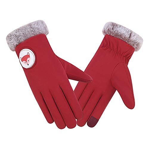 Livoty Women's Windproof Waterproof Bicycle Gloves Slip Plus Velvet Thickening Touch Screen Gloves Mittens (Red)