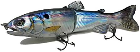 7in Glide Bait/ Swimbait - DISCO SHAD (Exclusive) - Multi Jointed Segmented Trout Gizzard Threadfin Fishing Life Like Hard Lure For Bass Pike Muskie for Casting And Trolling in Fresh Water or Ocean