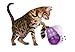 Kong Cat Wobbler, Treat Dispensing Toy, Purple