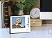 Just Goldens 2020 Box Calendar (Dog Breed Calendar)