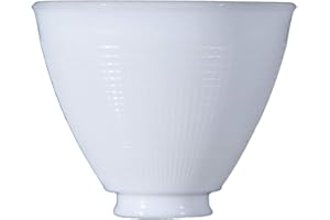 B&P Lamp 6" Dia, I.E.S Opal Reflector Shade for Floor Lamps and Mogul Sockets - Sets Below The Floor Lamp Shade