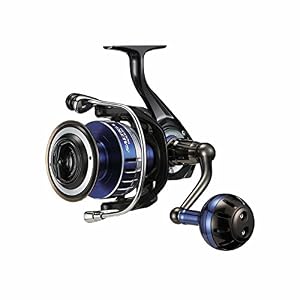 Daiwa Saltiga5000h Salée Spinning Moulinet De Pêche, 17–9,1 kilogram, Bleu