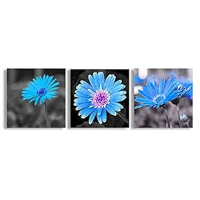 Canvas Wall Art Beautiful Flowers Collage Painting Artwork for Home Prints Framed - 12"x12"x3 Panels