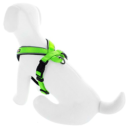 Pawtitas Pet Training Soft Adjustable Reflective Padded Puppy / Dog Harness Extra Small Green