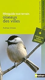 Oiseaux des villes