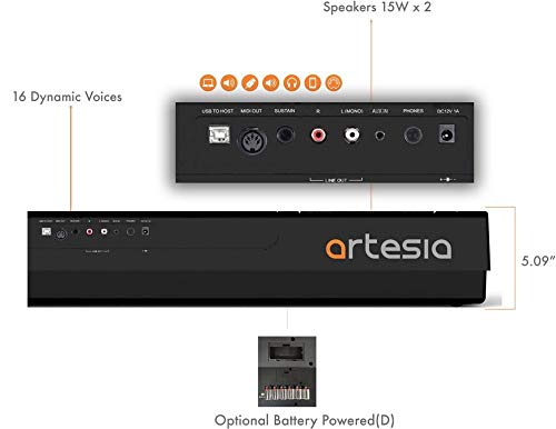 Artesia PA-88H 88-Key Weighted Hammer Action Digital Piano with Sustain Pedal and Power Supply, Black
