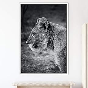 signwin Framed Canvas Wall Art Duotone Lion Animals...