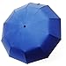 Compact Automatic Travel Umbrella with 10-Rib Strong Windproof Waterproof Anti UV - Sturdy,Portable and Lightweight for Easy Carrying - Auto Open/Close with Ergonomic Handle,Quality Assurance