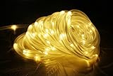 Solar Rope Lights, 33ft, Waterproof, 100leds, 1.2 V, Portable, with Light Sensor, Outdoor Rope Lights, Ideal for Christmas, Wedding, Party (Warm White)