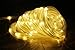 Solar Rope Lights, 33ft, Waterproof, 100leds, 1.2 V, Portable, with Light Sensor, Outdoor Rope Lights, Ideal for Christmas, Wedding, Party (Warm White)