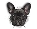 Winston & Bear French Bulldog 3D Dog Stickers - 2 Pack - French Bulldog Decor - Black French Bulldog Gifts for Wall, Fridge, Toilet and More - Retail Packaged Frenchie Stickers