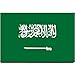Saudi Arabia flag fridge magnet Riyadh Jeddah Mecca travel souvenir