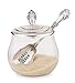 Mud Pie Glass Sugar Bowl Set, Clear and silver