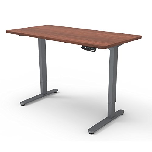 Buy FlexiSpot Height Adjustable Sit Stand Desk, Solid Steel Dual Motor Adjustable Desk with