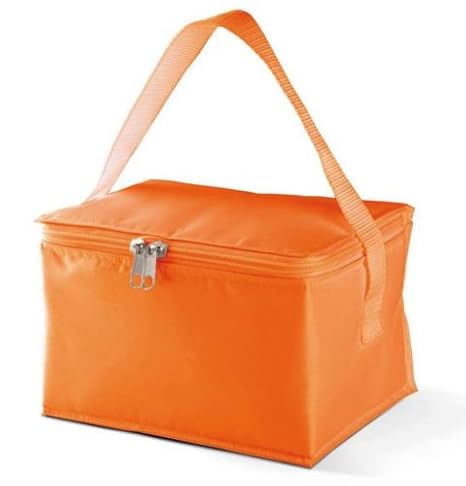 Mini 4 litros Bolsa nevera nevera Bolsa de latas de cerveza ...