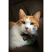 Snarky By Nature Greetings Sweet cat Blank Holiday Christmas Card (Set of 5)