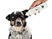 BotaniVet Ear Cleaner 8 Oz - 100% Natural Ingredients - Made with Certified Organic Oils and Silver - Veterinary Dermatologist Formulated for Dogs and Cats with Ear Problems