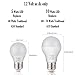 Tento Lighting 12v LED Bulbs Low Voltage 10w E26 60 Watts A19 Incandescent Replacement Low Voltage Only Off Grid Living Lighting Warm White 4Pack