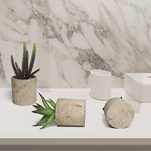 Hopewood Home Decor Small Fake Plant 3PCS Small Artificial Succulent Set Faux Potted Plant for Table Indoor Kitchen (6.2inch)