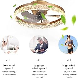 19.7" Ceiling Fan with Lights Remote