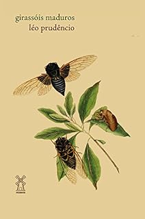 Livro Girassóis Maduros