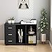 Tribesigns 3-Drawer File Cabinets, Large Wood Mobile Lateral Filing Cabinets Printer Stand with Storage Shelves and Wheels for Home Office (Black)