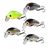 Magreel Mini Crankbaits Set Lifelike Fishing Hard Lures Kit for Trout Bass Perch Pack of 5 with Tackle Box