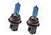 Putco 239007NB Pure Halogen Headlight Bulb - Nitro Blue - 9007 (Pair)