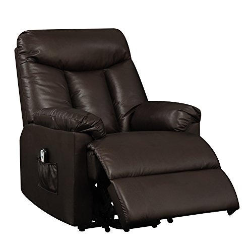 Domesis Renu Leather Wall Hugger Power Lift Chair