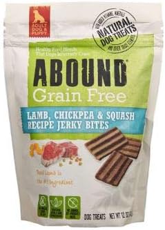 adopting a new kitten