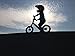 Strider - Heavy Duty Wheel Set, Alloy Wheels and Pneumatic Tires
