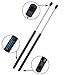 ARANA Hood Struts for Acura MDX 2001 To 2006 Shocks Lift Supports Springs