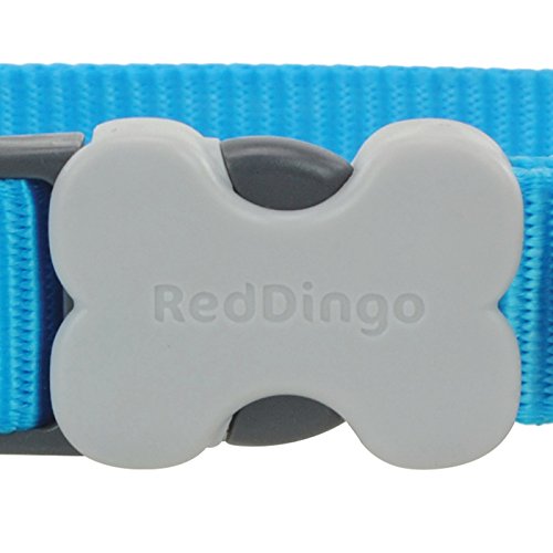 Red Dingo Classic Turquoise Dog Collar, Small/12mm