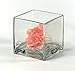 Vasefill 6-Pack Clear Square Glass Vase - Cube 4 Inch 4