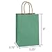 BagDream Kraft Paper Bags 100Pcs 5.25x3x8 Inches Small Paper Gift Bags with Handles Bulk, Paper Shopping Bags, Kraft Bags, Party Bags, Gift Bags (Green)