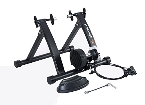 dynamic se bike trainer