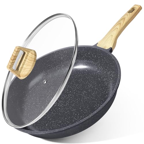 GiPP Ceramic Coating Nonstick Frying Pan with Lid - 26cm Healthy Non-Toxic Non Stick Skillet Omelette Pans, Induction Compatible Chef Pan, PFAS & PFOA-Free, Dishwasher Safe, Stay Cool Handles Grey