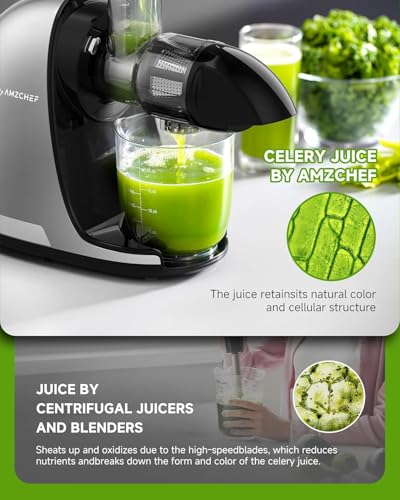 AMZCHEF Cold Press Slow Juicer, Electric Masticating Machine for Fruits and Vegetables, with 2 Cups and Brush, Grey
