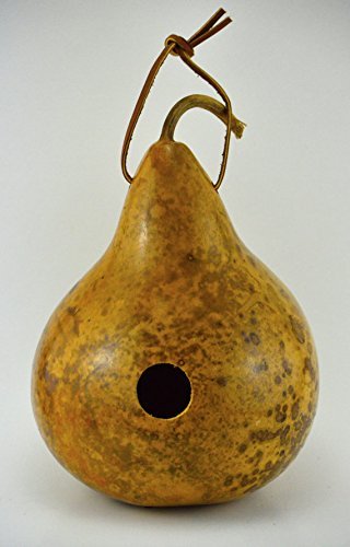 Gourd Birdhouses Painted Gourd Art Garden Art Bird Lovers Gift or Mothers Day Gift - 3 Gourd Combo