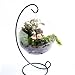 CosCosX Miniature Fairy Garden Grandpa&Grandma Ornament Bonsai Doll Dollhouse Plant Pot Figurine DIY Outdoor Desktop Decor Crafts Home Decoration