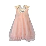 Cute Baby Girls Pure Color Pearl Tutu Princess Lace Chiffon Dress