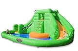 Crocodile Inflatable Water Park