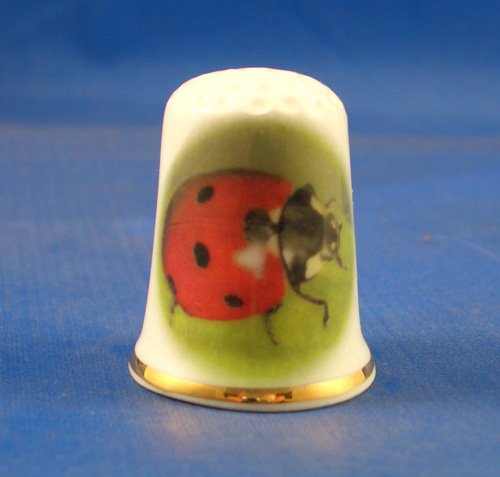 En porcelaine anglaise de collection avec dÃ© coccinelle sur une feuille