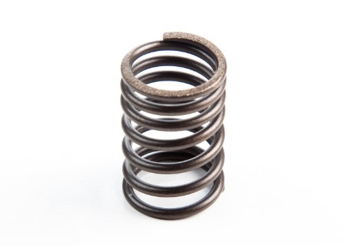 Briggs & Stratton 690520 Valve Spring Replaces 260552, 555060, 690520