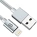 Syncwire iPhone Charger Lightning Cable 3.3Ft, [Apple MFi Certified] Nylon-Braided High-Speed Sync&Charging Cord for iPhone 11/XS Max/XS/XR/X, 8 7 6S 6 Plus, SE 5S 5C 5, Ipad, iPod & More - Silver