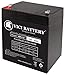 VICI Battery 12V 5AH SLA Battery Replacement for Razor PowerRider 360 Electric Tricycle Brand Product