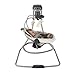 Graco DuetSoothe Swing and Rocker, Winslet