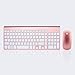 2.4GHz Wireless Keyboard and Mouse Combo, URCO Upgraded 102 Keys Full Size Low-Noise Portable Wireless Keyboard and Mouse for Working and Gaming (Rose Gold)
